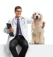 veterinaria